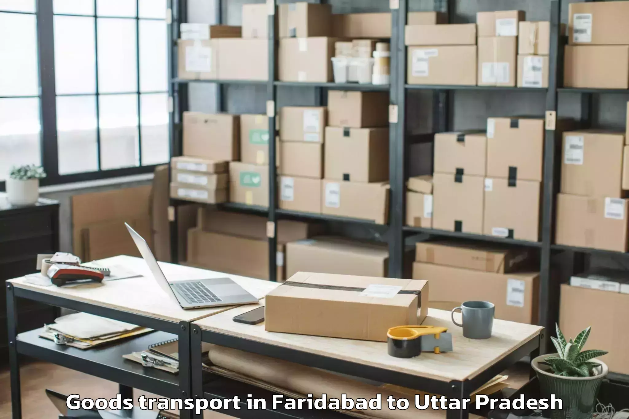 Top Faridabad to Malihabad Goods Transport Available